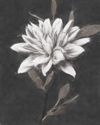 Fable Lotus 3 Black Ornate Wood Framed Art Print with Double Matting by Blue, Nina