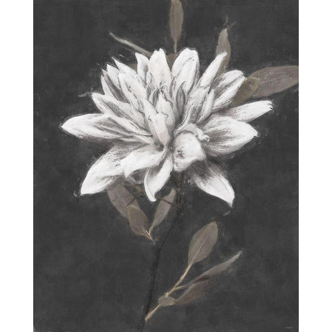 Fable Lotus 3 Black Modern Wood Framed Art Print by Blue, Nina