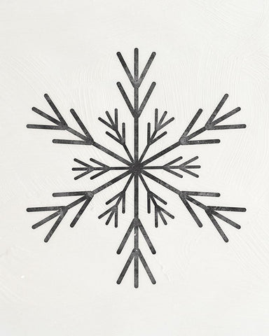 Modern Snowflake Black Ornate Wood Framed Art Print with Double Matting by Blue, Nina