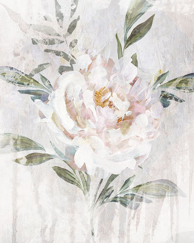 Abstract Peony Black Modern Wood Framed Art Print by Blue, Nina