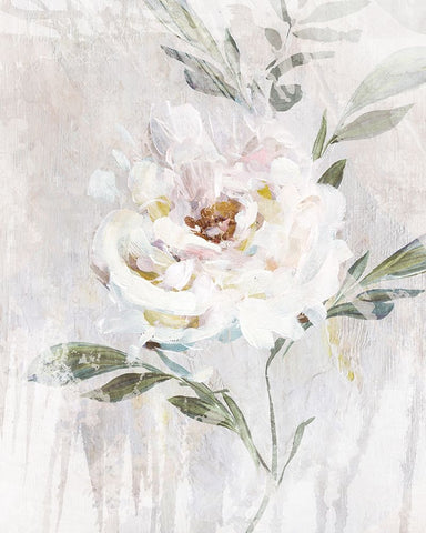 Abstract Peony II White Modern Wood Framed Art Print with Double Matting by Blue, Nina