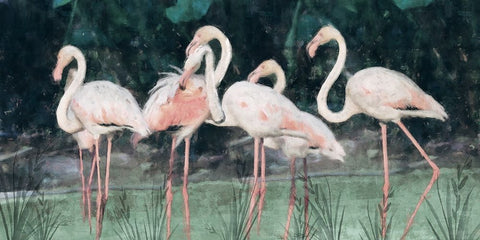 Peach Flamingo III Black Ornate Wood Framed Art Print with Double Matting by Blue, Nina