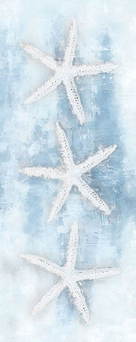 Starfish Panel White Modern Wood Framed Art Print with Double Matting by Blue, Nina