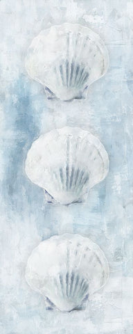 Sea Shells Black Modern Wood Framed Art Print by Blue, Nina