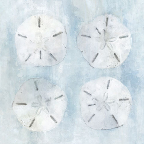 Sand Dollars II White Modern Wood Framed Art Print with Double Matting by Blue, Nina