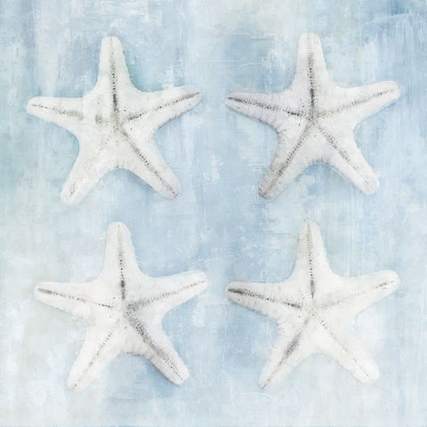 Star Fish White Modern Wood Framed Art Print with Double Matting by Blue, Nina