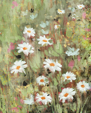 Daisy Field I Black Modern Wood Framed Art Print by Blue, Nina