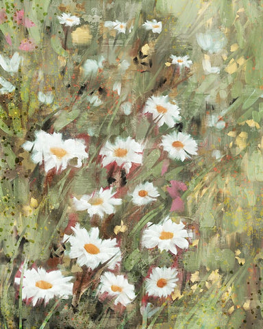 Daisy Field II Black Modern Wood Framed Art Print by Blue, Nina