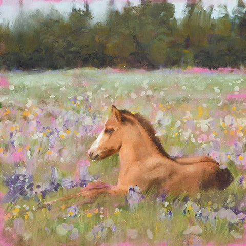 Spring Time Foal Black Modern Wood Framed Art Print by Blue, Nina