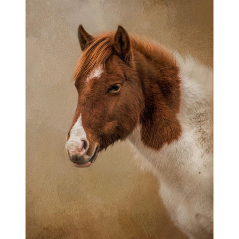 Wild at Heart Gold Ornate Wood Framed Art Print with Double Matting by Parker, Kelley