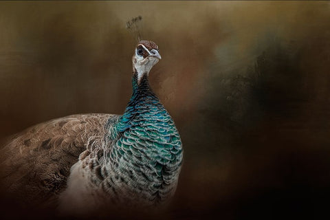 Shes a Lady White Modern Wood Framed Art Print with Double Matting by Parker, Kelley