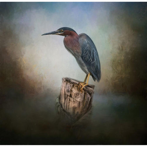 The Perfect Perch Black Modern Wood Framed Art Print by Parker, Kelley