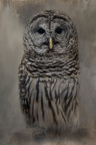 Messenger of Forest Black Ornate Wood Framed Art Print with Double Matting by Parker, Kelley