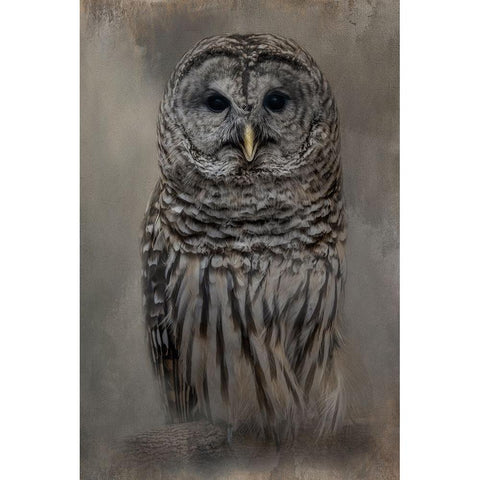 Messenger of Forest Black Modern Wood Framed Art Print by Parker, Kelley