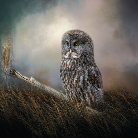 Meadow Retreat Black Ornate Wood Framed Art Print with Double Matting by Parker, Kelley