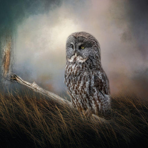 Meadow Retreat Black Modern Wood Framed Art Print by Parker, Kelley