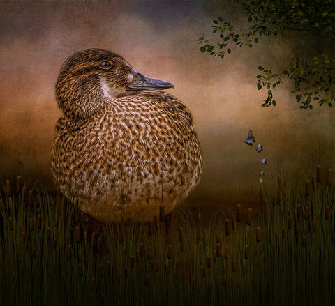 Among the Cattails White Modern Wood Framed Art Print with Double Matting by Parker, Kelley