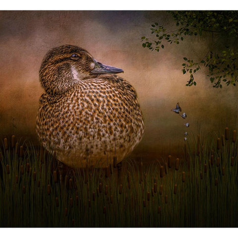 Among the Cattails Black Modern Wood Framed Art Print by Parker, Kelley