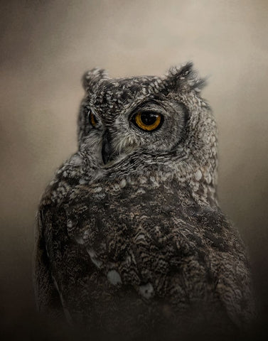 Easy on the Eye White Modern Wood Framed Art Print with Double Matting by Parker, Kelley