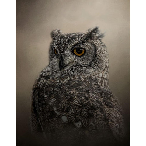 Easy on the Eye Black Modern Wood Framed Art Print by Parker, Kelley