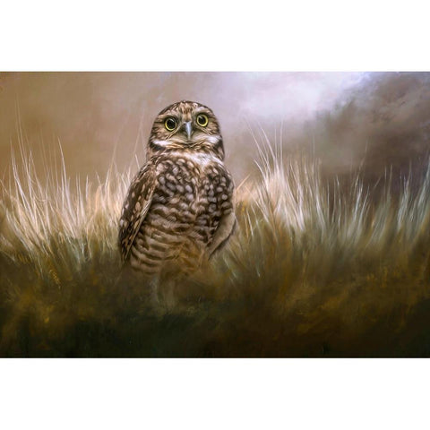 Owl Be Seeing You White Modern Wood Framed Art Print by Parker, Kelley