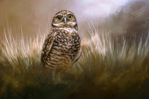 Owl Be Seeing You White Modern Wood Framed Art Print with Double Matting by Parker, Kelley