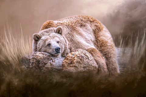 Just Not Feeling It Today White Modern Wood Framed Art Print with Double Matting by Parker, Kelley