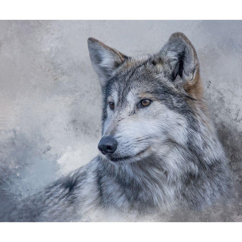 Gazing Off White Modern Wood Framed Art Print by Parker, Kelley