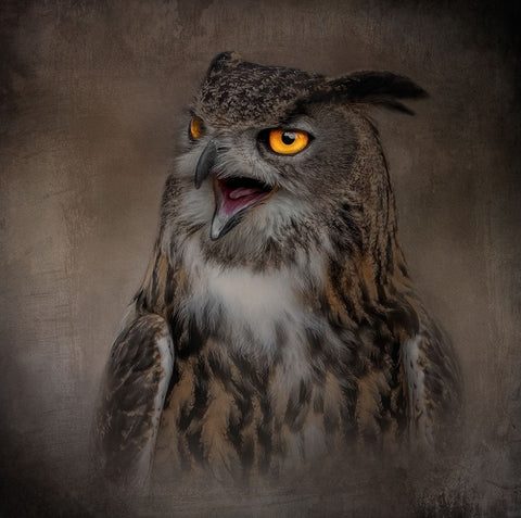 Stern Warning White Modern Wood Framed Art Print with Double Matting by Parker, Kelley