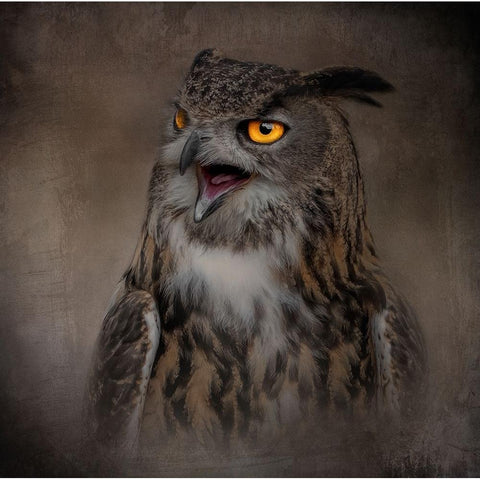 Stern Warning White Modern Wood Framed Art Print by Parker, Kelley