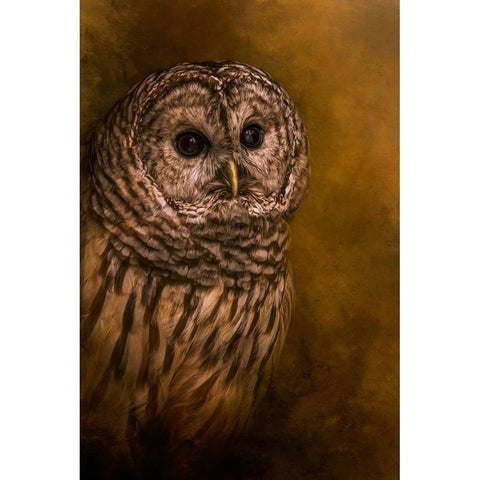 Curious Eyes Gold Ornate Wood Framed Art Print with Double Matting by Parker, Kelley