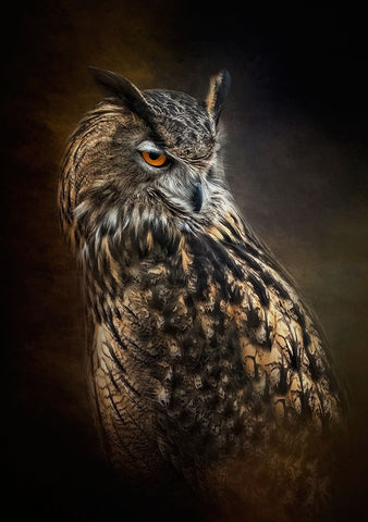 Dark Rising White Modern Wood Framed Art Print with Double Matting by Parker, Kelley