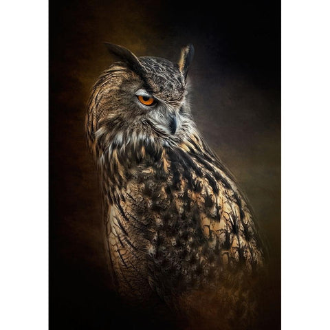 Dark Rising Black Modern Wood Framed Art Print by Parker, Kelley