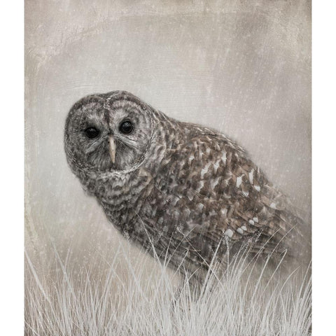 Encountering Winter Gold Ornate Wood Framed Art Print with Double Matting by Parker, Kelley