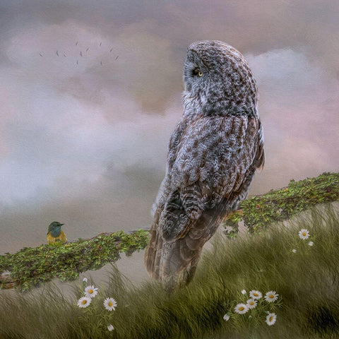 In the Meadow White Modern Wood Framed Art Print by Parker, Kelley