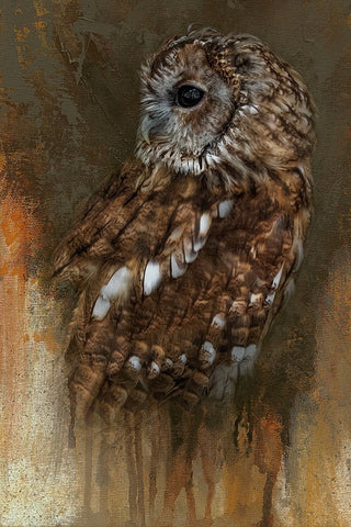 In the Veil of Autumn White Modern Wood Framed Art Print with Double Matting by Parker, Kelley