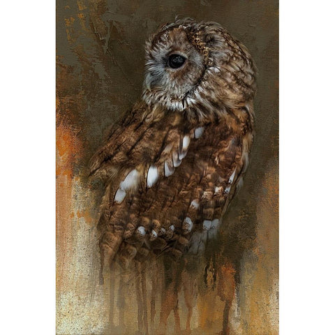 In the Veil of Autumn Black Modern Wood Framed Art Print by Parker, Kelley