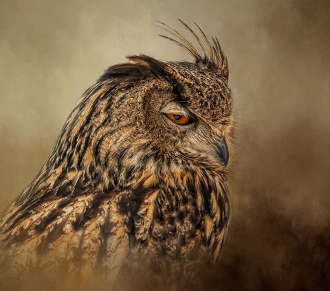 Not Impressed White Modern Wood Framed Art Print with Double Matting by Parker, Kelley