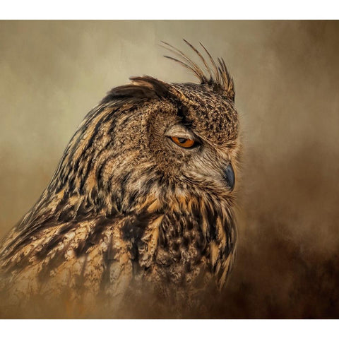 Not Impressed Black Modern Wood Framed Art Print by Parker, Kelley