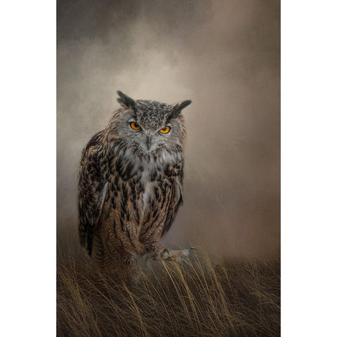 One Foot Forward Black Modern Wood Framed Art Print with Double Matting by Parker, Kelley