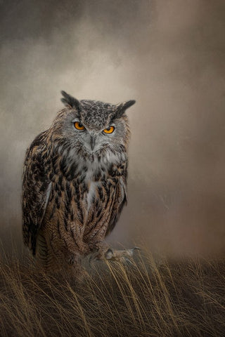 One Foot Forward Black Ornate Wood Framed Art Print with Double Matting by Parker, Kelley