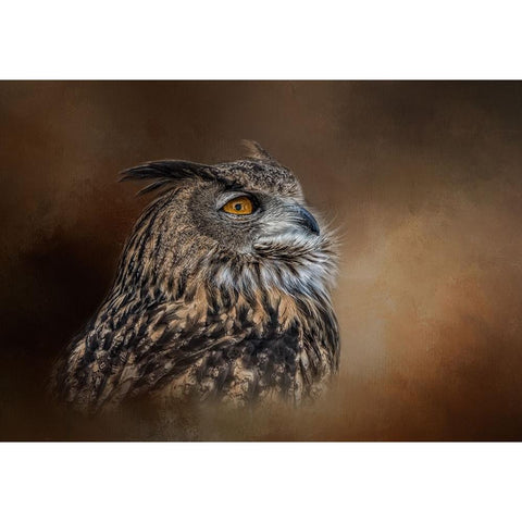 Seeking the Light White Modern Wood Framed Art Print by Parker, Kelley