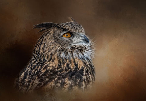 Seeking the Light White Modern Wood Framed Art Print with Double Matting by Parker, Kelley