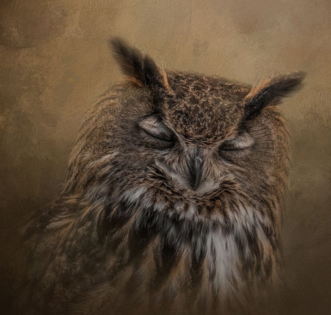 Sleepyhead Black Ornate Wood Framed Art Print with Double Matting by Parker, Kelley