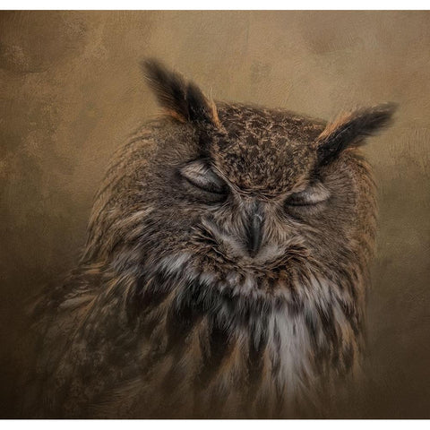 Sleepyhead Black Modern Wood Framed Art Print by Parker, Kelley