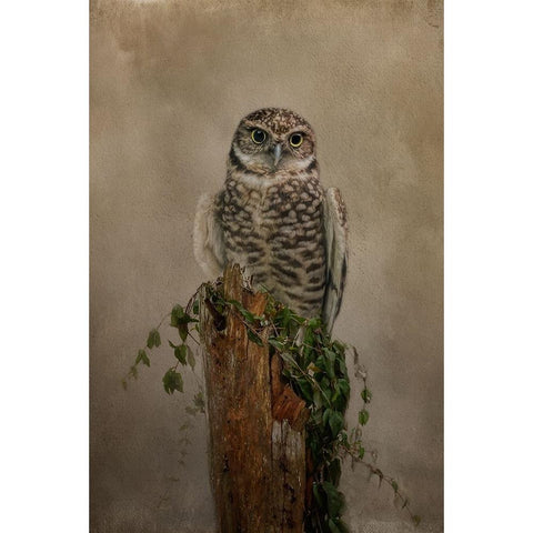 Small But Mighty White Modern Wood Framed Art Print by Parker, Kelley