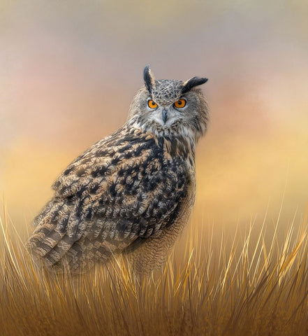 Start of a New Day White Modern Wood Framed Art Print with Double Matting by Parker, Kelley