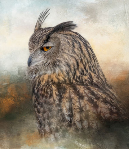 The Side Eye Black Ornate Wood Framed Art Print with Double Matting by Parker, Kelley