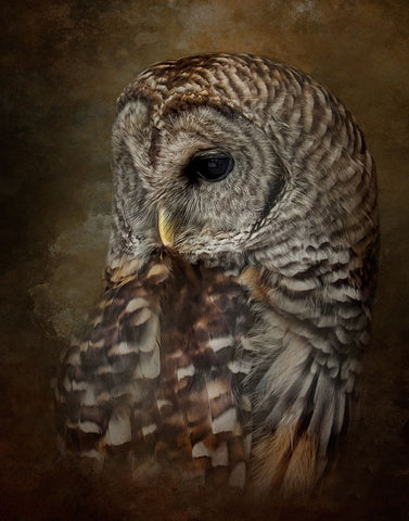 Time to Reflect White Modern Wood Framed Art Print with Double Matting by Parker, Kelley