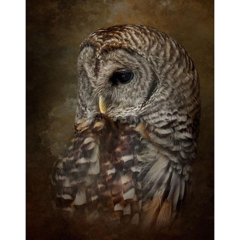 Time to Reflect White Modern Wood Framed Art Print by Parker, Kelley